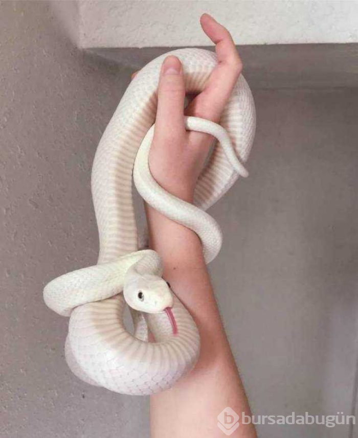 Günün en çok paylaşılan fotoğrafları