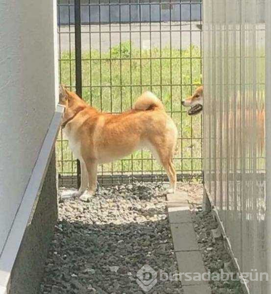 Günün en çok paylaşılan fotoğrafları