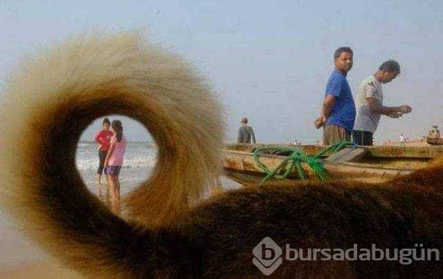 Günün en çok paylaşılan fotoğrafları