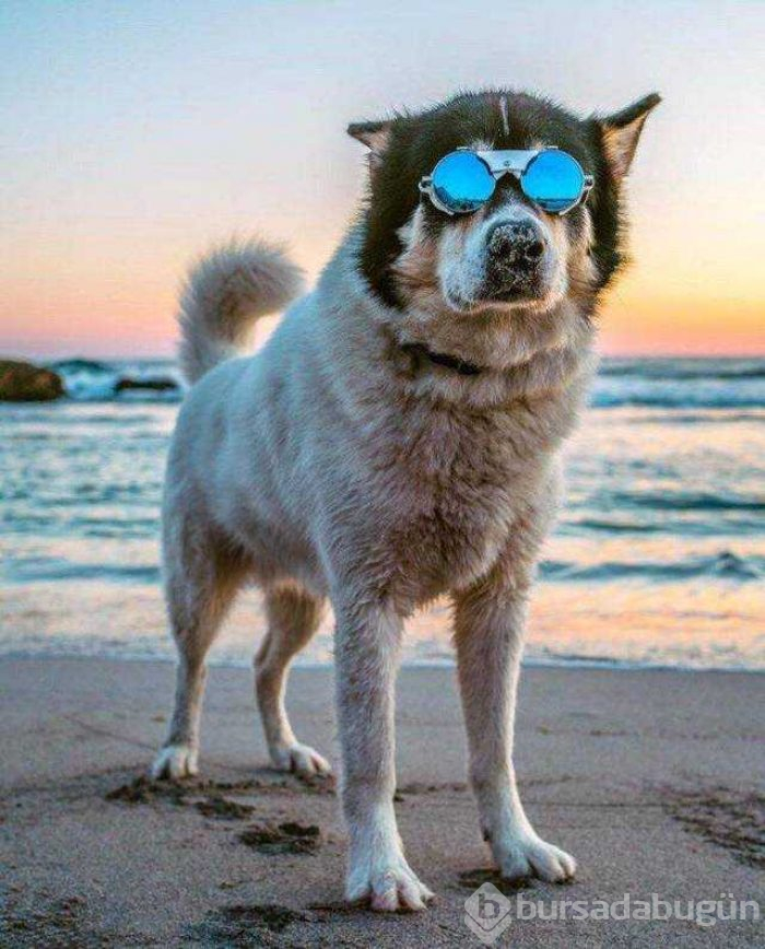 Günün en çok paylaşılan fotoğrafları