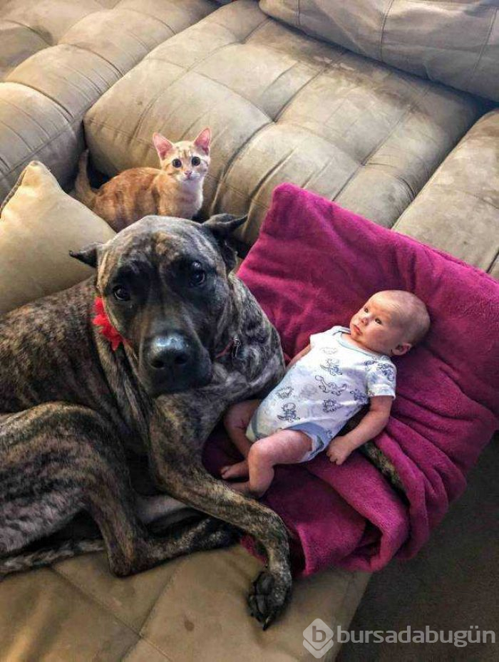 Günün en çok paylaşılan fotoğrafları