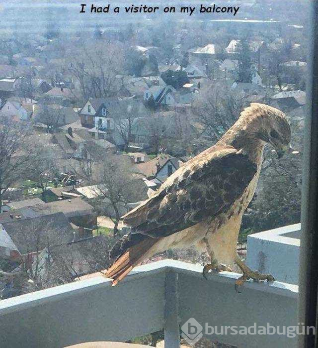 Günün en çok paylaşılan fotoğrafları