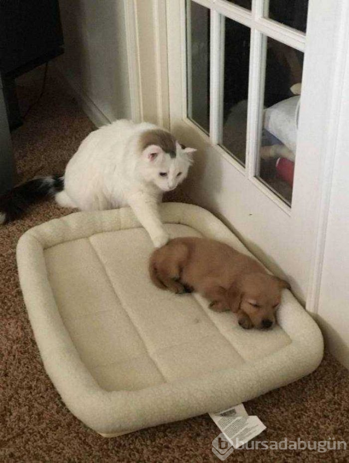 Günün en çok paylaşılan fotoğrafları