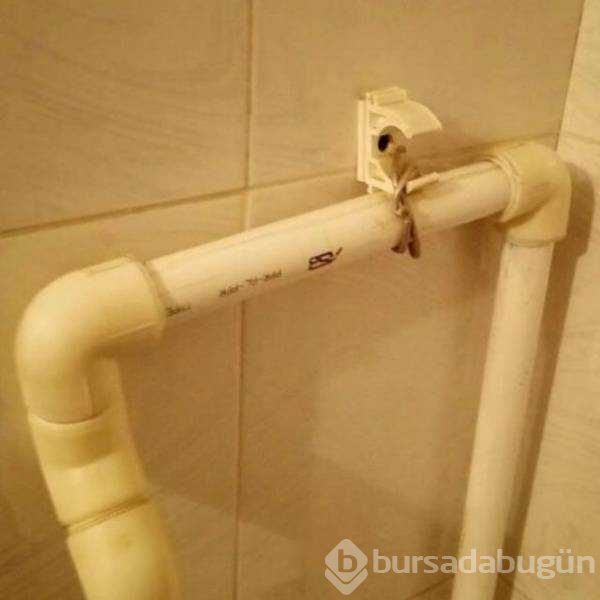 Günün en çok paylaşılan fotoğrafları