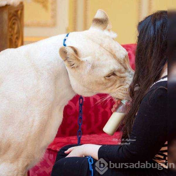 Günün en çok paylaşılan fotoğrafları