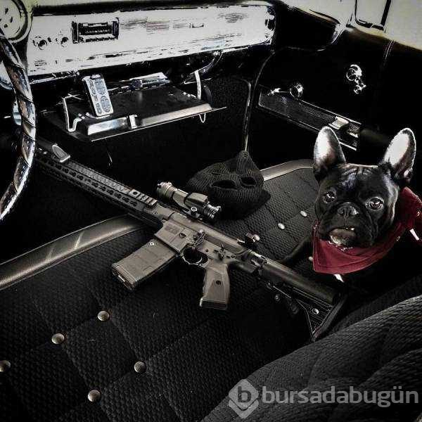 Günün en çok paylaşılan fotoğrafları