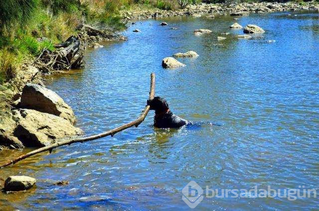 Günün en çok paylaşılan fotoğrafları