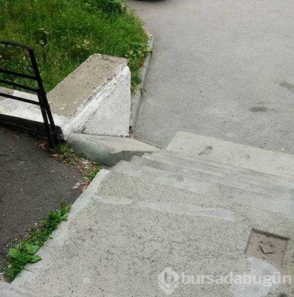 Günün en çok paylaşılan fotoğrafları