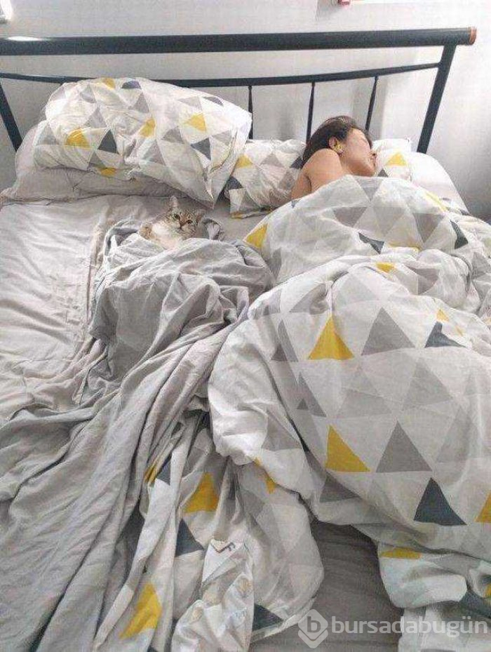 Günün en çok paylaşılan fotoğrafları