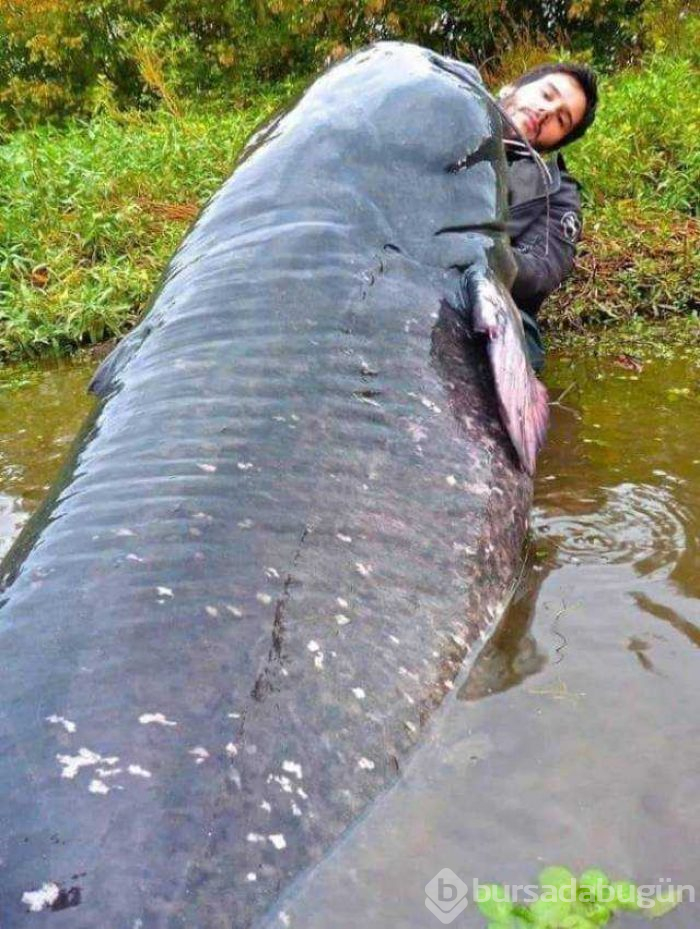 Günün en çok paylaşılan fotoğrafları