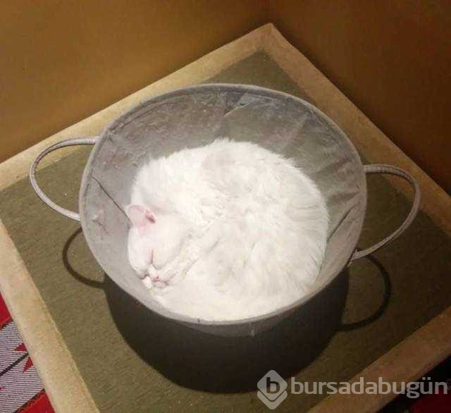 Günün en çok paylaşılan fotoğrafları