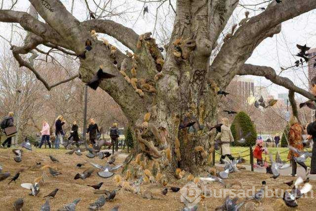 Günün en çok paylaşılan fotoğrafları