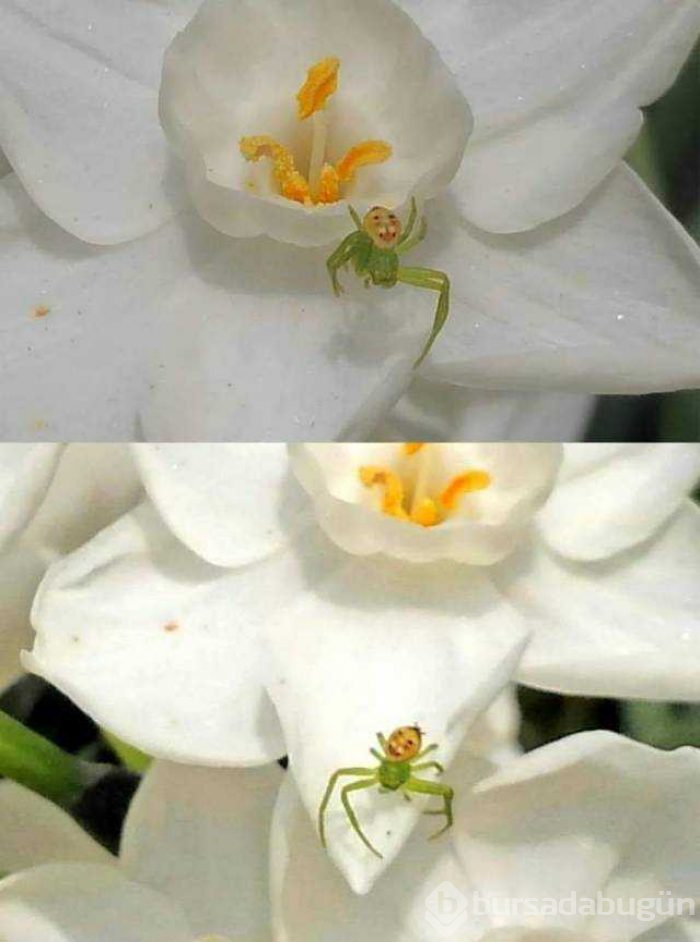 Günün en çok paylaşılan fotoğrafları