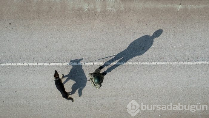 Bursa'da eğitilen "Keskin burunlar" Mehmetçik'i hain tuzaklardan kurtardı 