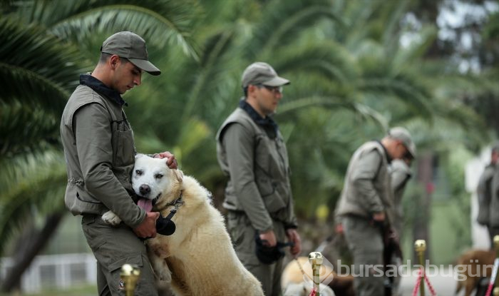 Bursa'da eğitilen "Keskin burunlar" Mehmetçik'i hain tuzaklardan kurtardı 