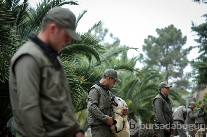 Bursa'da eğitilen "Keskin burunlar" Mehmetçik'i hain tuzaklardan kurtardı 