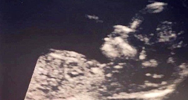 Saçlarıyla fenomen oldular