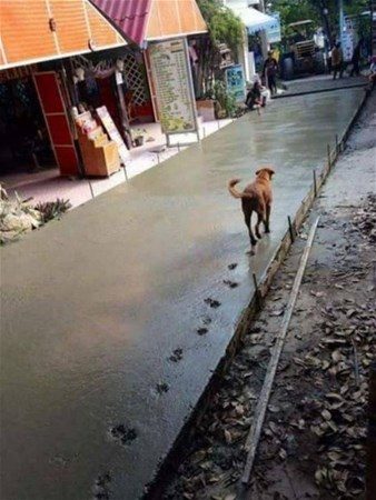 İşte dünyanın en şanssız insanları