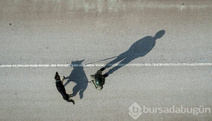 "Keskin burunlar" Mehmetçik'i hain tuzaklardan kurtardı