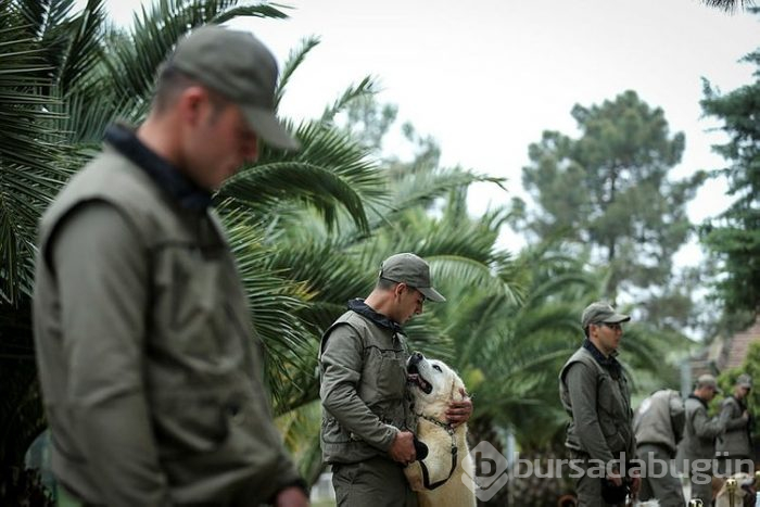 "Keskin burunlar" Mehmetçik'i hain tuzaklardan kurtardı