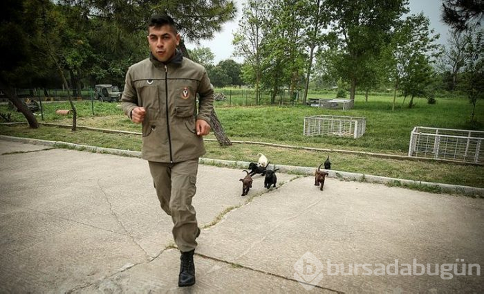 "Keskin burunlar" Mehmetçik'i hain tuzaklardan kurtardı