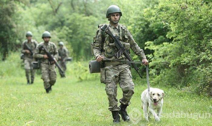 "Keskin burunlar" Mehmetçik'i hain tuzaklardan kurtardı
