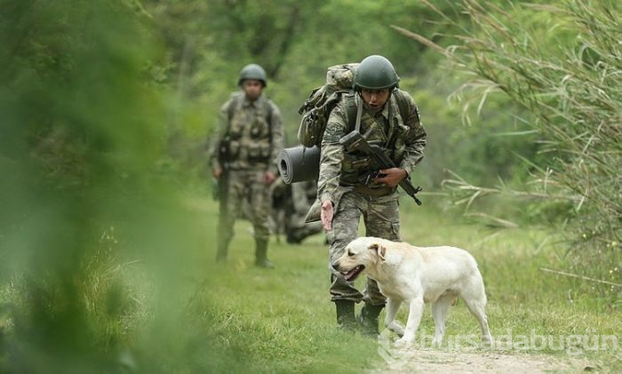 "Keskin burunlar" Mehmetçik'i hain tuzaklardan kurtardı