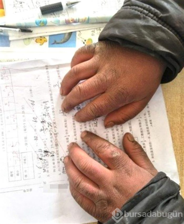 Çarpıcı fotoğraflar ve hikayeleri