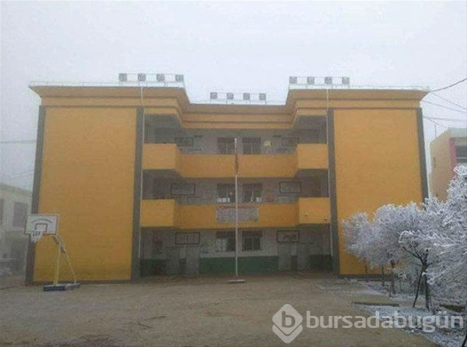Çarpıcı fotoğraflar ve hikayeleri