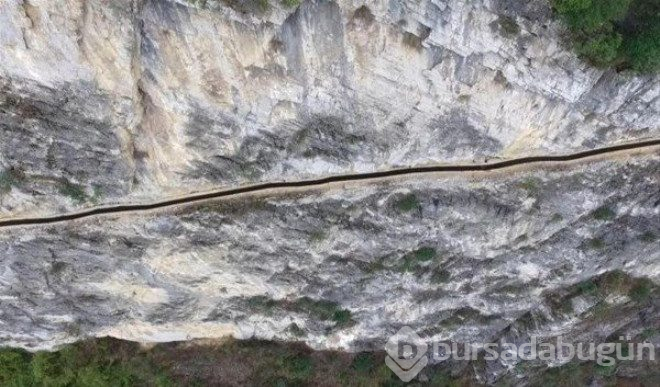 Çarpıcı fotoğraflar ve hikayeleri