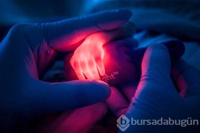 Çarpıcı fotoğraflar ve hikayeleri