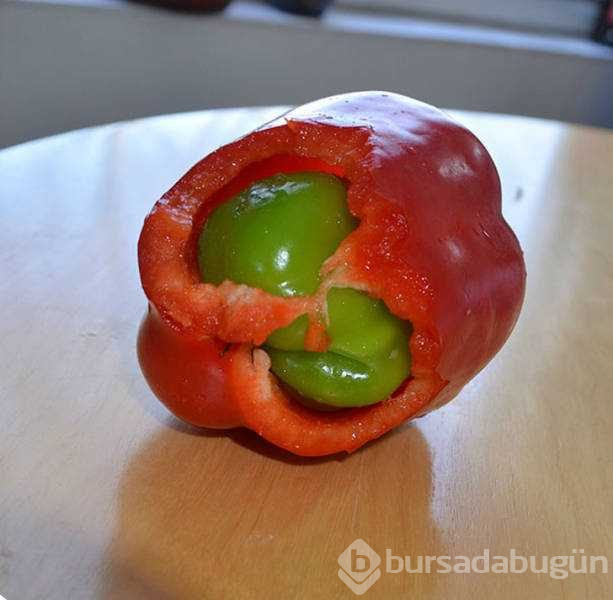 Günün en çok paylaşılan fotoğrafları