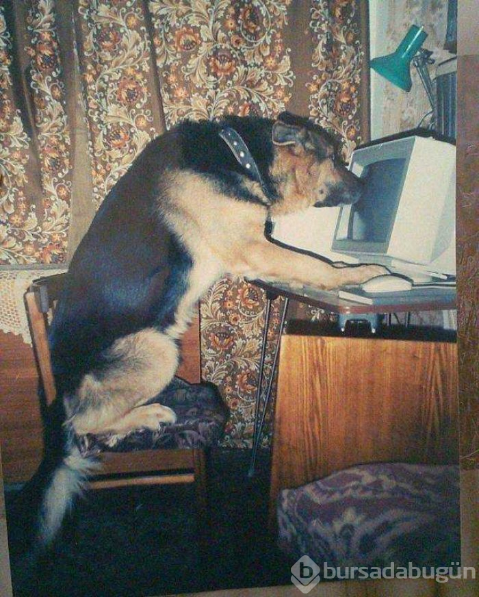 Günün en çok paylaşılan fotoğrafları