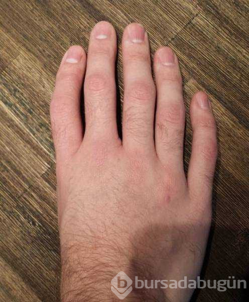 Günün en çok paylaşılan fotoğrafları