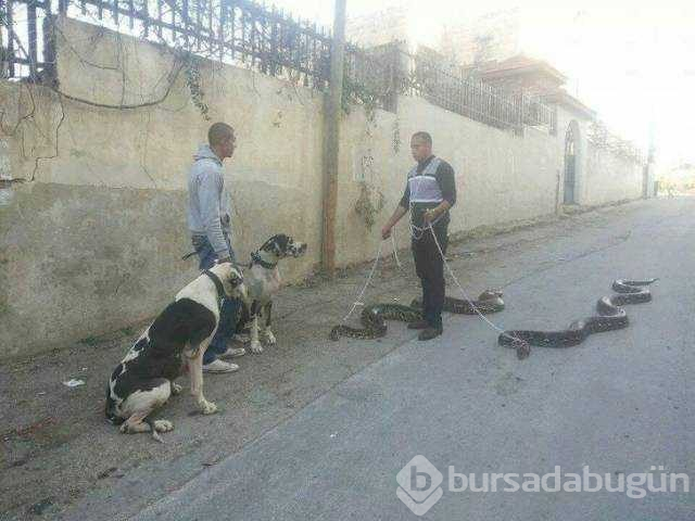 Günün en çok paylaşılan fotoğrafları