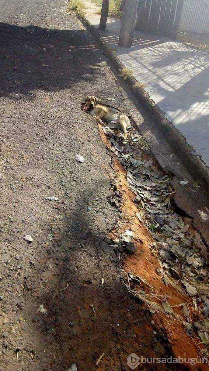 Günün en çok paylaşılan fotoğrafları