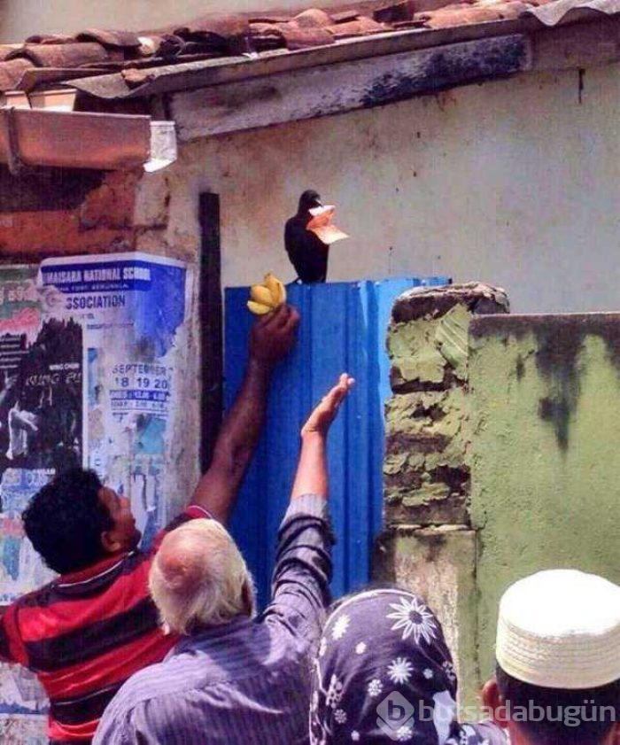 Günün en çok paylaşılan fotoğrafları