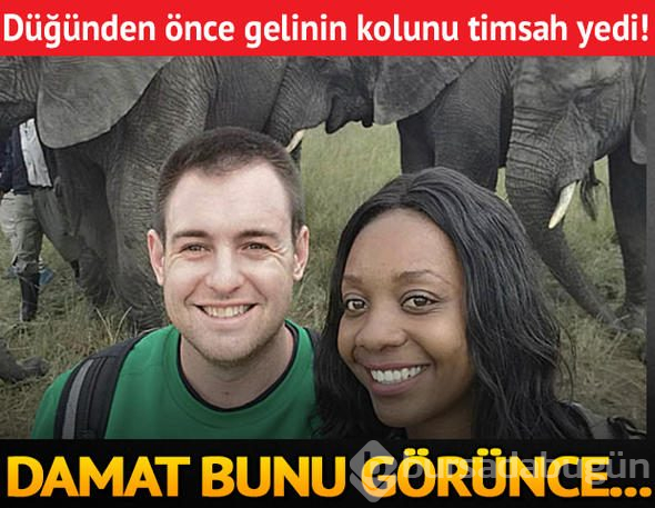Düğünden önce gelinin kolu timsah yedi! Damat bunu görünce...