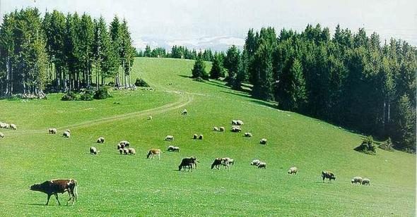 Şehir isimleri nereden geliyor? İşte sizin memleketin hikayesi!