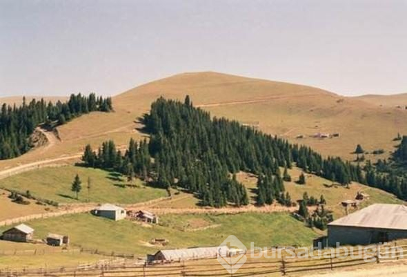 Şehir isimleri nereden geliyor? İşte sizin memleketin hikayesi!