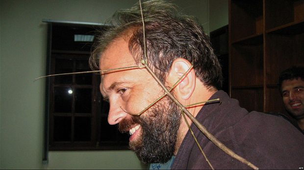 Doğanın devleri