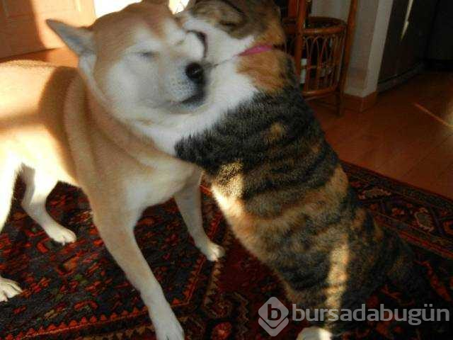 Günün en çok paylaşılan fotoğrafları
