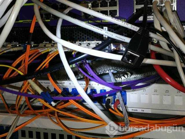 Günün en çok paylaşılan fotoğrafları

