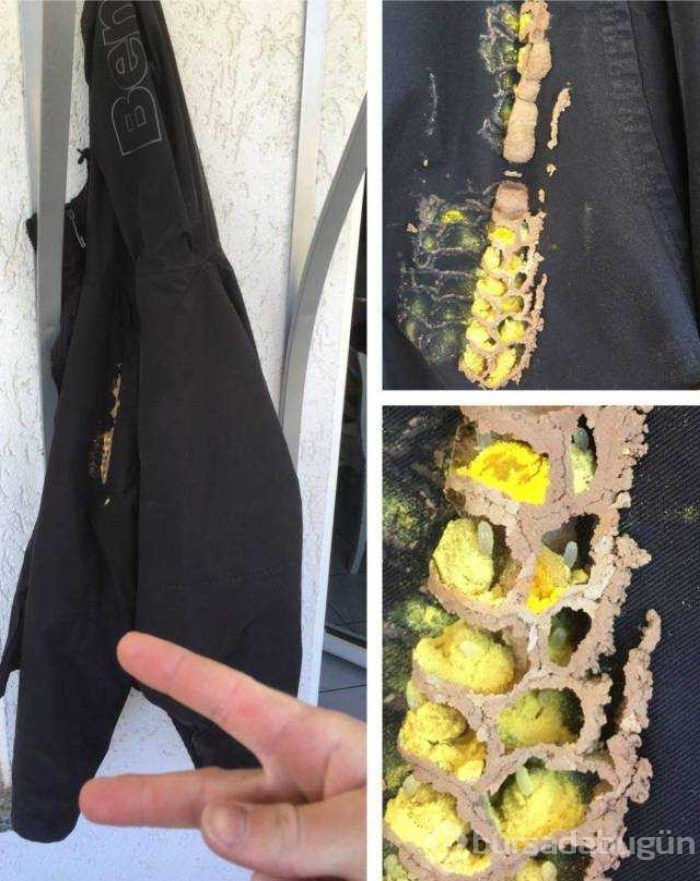 Günün en çok paylaşılan fotoğrafları
