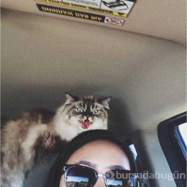 Günün en çok paylaşılan fotoğrafları

