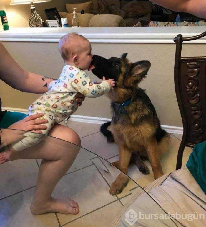Günün en çok paylaşılan fotoğrafları
