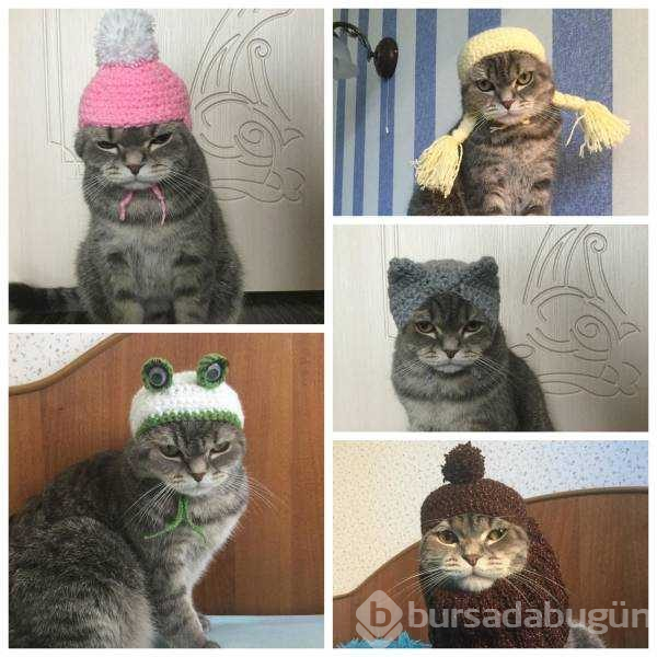 Günün en çok paylaşılan fotoğrafları
