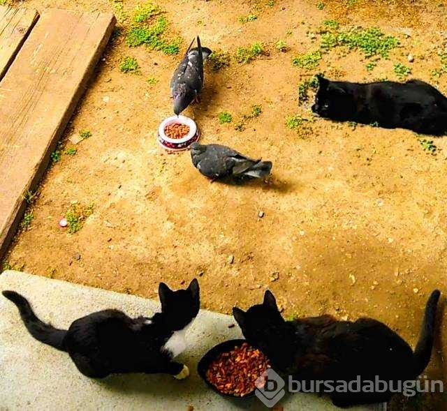 Günün en çok paylaşılan fotoğrafları
