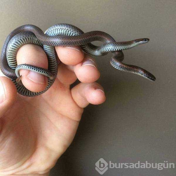 Günün en çok paylaşılan fotoğrafları
