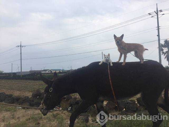 Günün en çok paylaşılan fotoğrafları
